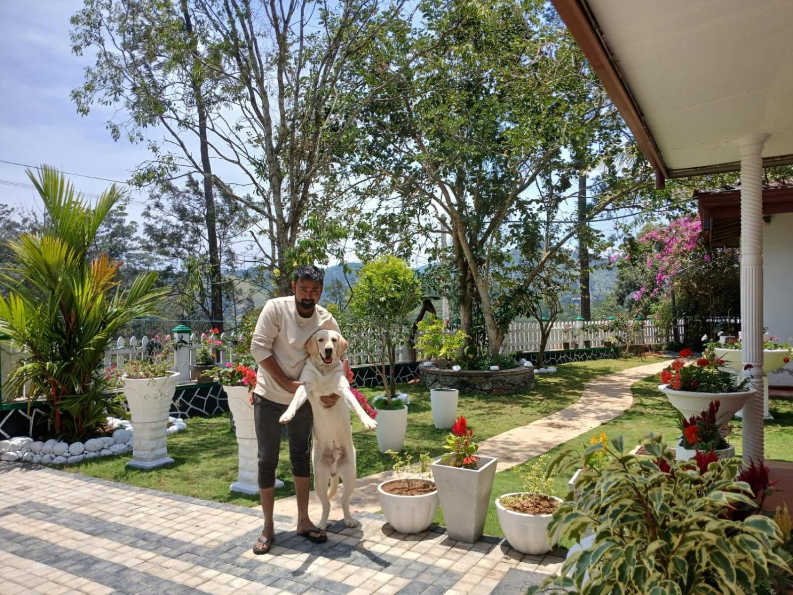 Nine Arch Gap Hotel Ella Luaran gambar
